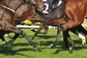cheltenham festival
