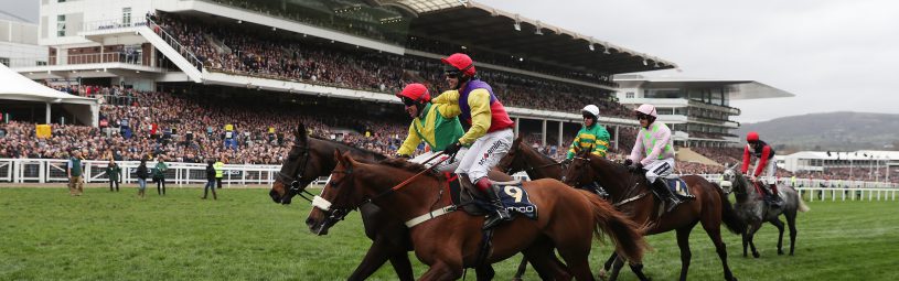 2017 Cheltenham Festival - Gold Cup Day - Cheltenham Racecourse