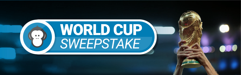 World-Cup-Sweepstake-Banner