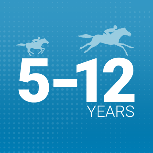 ages of Cheltenham gold cup winners