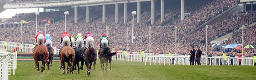 the feild in the queen mother champion steeple chase run in front of the stands at cheltenham 11-3-15