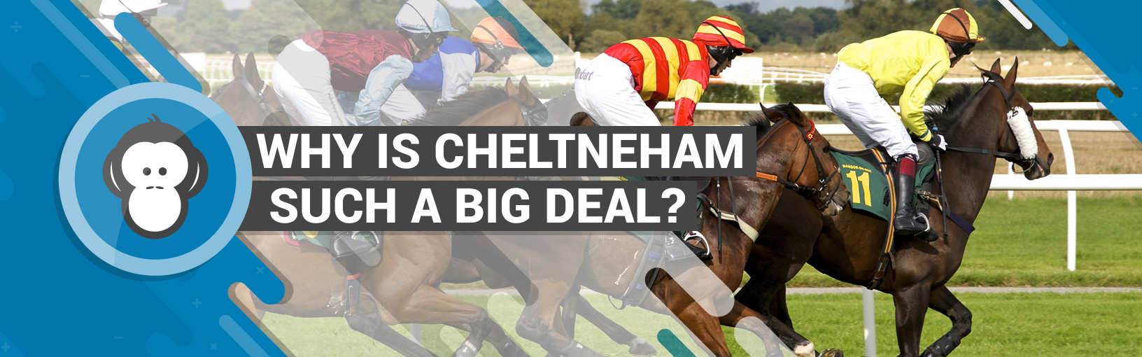 cheltenham such a big deal